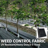 Toile de paillage robuste anti-mauvaises herbes, stabilisée aux UV, pour l'agriculture