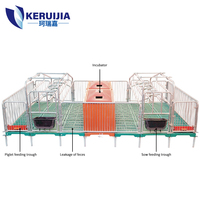 Cage de mise bas pour porcs double, de qualité garantie, équipement d'élevage porcin, boîte de mise bas, cage de mise bas