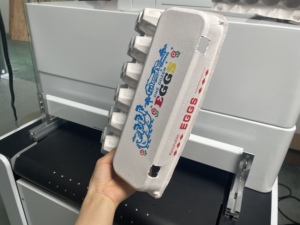 Impresora Digital UV a Todo Color de Una Sola Pasada para Envases de Plástico para Alimentos, Tapas de Plástico - Product Image 4