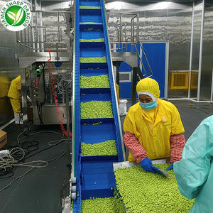 XMSD Migliori Semi di <span class=keywords><strong>Edamame</strong></span> Naturali Sgusciati IQF Congelati Senza Guscio, Frutta Sfusa per Conservazione a Freddo - Product Image 5