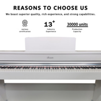 Beisite Custom Brand 88 Keys Hammer French Dream Source Rechargeable Electronic Upright Digital MIDI Piano Keyboard Solid Wood