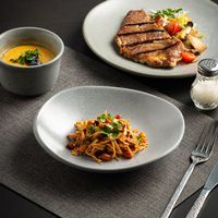 Gastronomie-Qualität Steinzeug-Geschirrset mit Reaktivglasur und gesprenkelten Tellern für Restaurants und Hotels