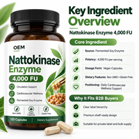 Capsules de Nattokinase, Enzyme de Natto, Soja Fermenté Végétalien, Gamme Nutraceutique, Prêt pour les Lignes de Bien-être, Approvisionnement en Gros par Contrat