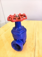 Vanne à guillotine en fonte ductile à joint souple, manuelle, pour le contrôle de l'eau, DN50 PN16, certifiée ISO9001