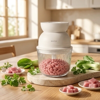 Appareil de cuisine portable écologique, design compact et léger, économie d'énergie, petit robot culinaire domestique, hachoir à viande 500 ml