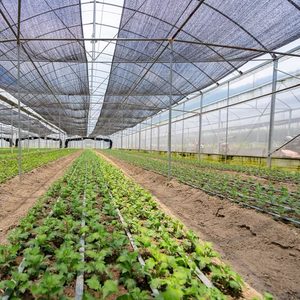 Trực tiếp từ các nhà máy nông nghiệp Shade Net cho hiệu quả mặt trời bảo vệ - Product Image 6