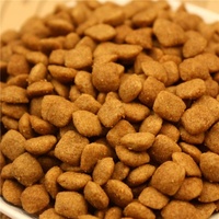 Croquettes sèches industrielles entièrement automatiques de grande capacité pour la fabrication d'aliments pour chiens et chats Machine d'extrusion à double vis Ligne de traitement