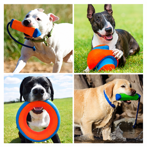 <span class=keywords><strong>Chuckit</strong></span> Kick Fetch Baumwoll-Hundeball Mehrfarbig Einheitsgröße Interaktives Haustier-Bewegungsspielzeug - Product Image 3