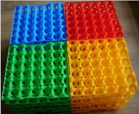 Plateau de transport pour œufs de caille en plastique, cartons pour œufs de caille, 90 trous, plateau pour œufs de caille à vendre
