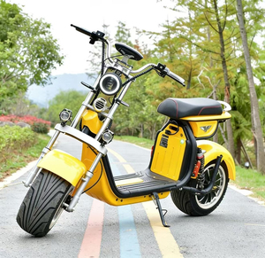 Nouvelle conception, scooter électrique Citycoco de haute qualité, tout-terrain, double moteur, grande roue, 2000w, pour adultes, scooter chopper 3000w - Product Image 5