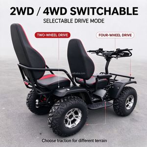 Scooter tout-terrain double, idéal pour la ferme, la montagne, la plage et les loisirs en plein air, moteur 1500W*4 - Product Image 6