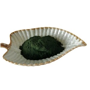 제조업체 공급 고품질 순수 식품 등급 보충제 <span class=keywords><strong>99%</strong></span> 나트륨 구리 클로로필린 파우더 클로로필 - Product Image 1