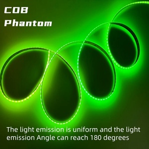 Mật độ cao 480 mỗi mét <span class=keywords><strong>RGB</strong></span> linh hoạt COB LED Strip ánh sáng với cri90 USB ip33 ứng dụng điều khiển & Dimmable các tính năng - Product Image 6