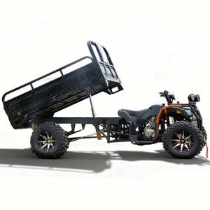 Quad 300cc 4x4 à démarrage électrique automatique, certifié CEE, UTV à essence avec une charge utile de 500 kg, 50-75 km/h, pour travaux agricoles en montagne - Product Image 6