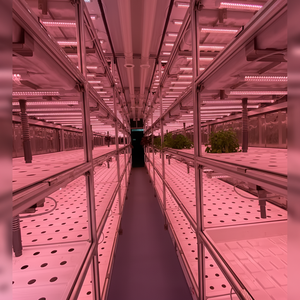 Invernadero Grande de Estilo Chino 2024, Contenedor para Cultivo Hidropónico, Sistemas de Control de Temperatura y Clima, Modelo SP-C - Product Image 1