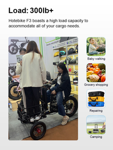 <span class=keywords><strong>Vélo</strong></span> <span class=keywords><strong>cargo</strong></span> <span class=keywords><strong>électrique</strong></span> rétro pour familles, vente directe d'usine, tricycle <span class=keywords><strong>électrique</strong></span> pour 1 personne, 500w 750w, vélos <span class=keywords><strong>cargo</strong></span> <span class=keywords><strong>électrique</strong></span>s - Product Image 5