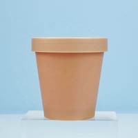 Pot cosmétique hermétique en plastique PP de 250g en forme de cornet de glace, couleur personnalisée, pour poudre libre et soins de la peau, avec couvercle rose/vert, vente en gros