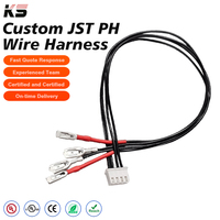 Rangkaian Kabel Khusus Jst Ph Wire Harness 2.0mm Pitch 2 Pin Connector untuk Paket Baterai Lampu Tenaga Surya Kabel Elektronik Oem