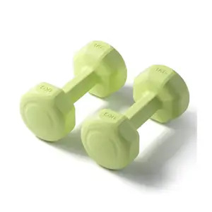 Frosted Dip Plastic Dumbbells Een Set Huishoudelijke Lichamelijke Trainingsapparatuur Solide Gietijzeren Fitness Kleine Dumbbells