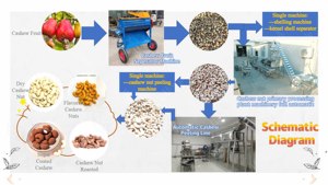 Machine industrielle de traitement d'emballage de décorticage de noix de cajou Machine de décortiqueur de noix de cajou automatique d'usine de ligne - Product Image 2
