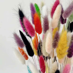 60Pcs Thỏ Đuôi Cỏ Bảo Quản Thỏ Đuôi Cỏ Khô Bó Hoa Cho Boho Trang Trí Nội Thất - Product Image 2