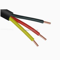 Câble d'alimentation RVV basse tension 1kV/0.6kV Lisheng, à usage décoratif intérieur, avec conducteur en cuivre multiconducteur, isolation en PVC et gaine en PE