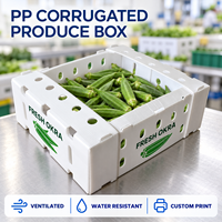 PP Gegolfde kunststof fruit- en groentekisten op maat en met opdruk, met geventileerde zijkanten voor verpakking en distributie op de boerderij