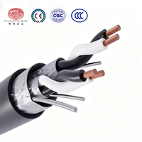 Câble d'instrumentation en cuivre RE St YSWAY PiMF, isolé XLPE, gaine PVC, blindage feuilleté, blindage armé, ignifuge, industriel