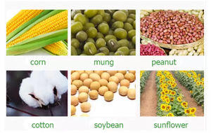 New Design Rice Grain Seeder Machine Three Row Corn Precision Seeder Soybean Watermelon and Corn <b>Planter</b> Machine - Product Image 3