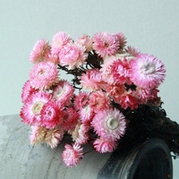 Bouquet de fleurs séchées pour la décoration de la maison