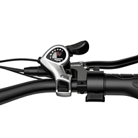 Kit de vélo électrique E-Bike City avec moteur arrière 52V, pneus larges, vélo cargo électrique pour adultes, vélo tout-terrain électrique, charge maximale 150 kg