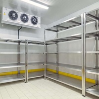 Cámara de congelador de almacenamiento en frío industrial-Precio de cámara fría de refrigeración
