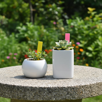 Étiquettes de plantes de jardin de haute qualité, 100 pièces, 4 pouces, imperméables, multicolores, en plastique, pour pépinière