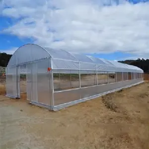 Invernadero de un solo tramo Marco de acero galvanizado Invernadero de cultivo de película plástica agrícola con sistema de ventilación
