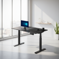 Bureau debout intelligent PRORIALS à double moteur, réglable en hauteur avec mémoire de position, structure en acier pour ergonomie au bureau à domicile