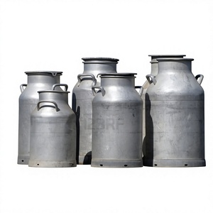 Maceta Decorativa de Hierro Galvanizado Estilo Granja Moderna, Tamaño Personalizado, Ecológica, para Bodas, Hogar, Jardín, Exterior, la Más Vendida - Product Image 1
