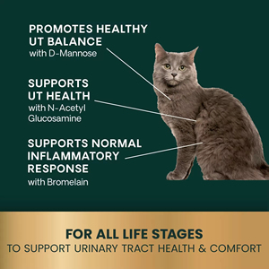 Integratore OEM/ODM per la Salute del Tratto Urinario dei Gatti, Estratto Vegetale per il Benessere e il Supporto del Tratto Urinario Felino - Product Image 5