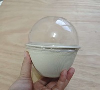 Contenant alimentaire moderne en bagasse 100 % biodégradable, écologique et de qualité supérieure, compatible micro-ondes, durable, pour camping et plats à emporter