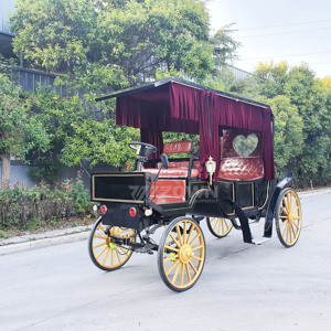 Carro Eléctrico Turístico Estilo Carruaje de Caballos con Interior Personalizado para Transporte en Ciudades Históricas, Parques Temáticos y Resorts - Product Image 5