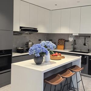 Mueble de Cocina Modular Moderno de Alta Calidad en Madera Maciza para el Hogar, Muebles de Despensa, Gabinetes de Cocina de Alta Gama - Product Image 2