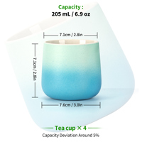 Ensemble de tasses en céramique TEANAGOO avec glaçure dégradée, logo personnalisé, style Japandi, chawan en porcelaine résistant à la chaleur pour la cérémonie du thé