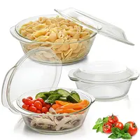 Oven Safe Borosilicate Glass Pot for Cooking