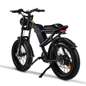 Vélo électrique de 20 pouces à moteur 250W, V8 d'origine, vélo tout-terrain à 7 vitesses, à gros pneus, de 48V et 15Ah, entrepôt européen - Product Image 2