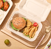 Vaisselle jetable compostable, boîte à lunch à clapet 2 compartiments en bagasse de canne à sucre, kits de fournitures de fête biodégradables