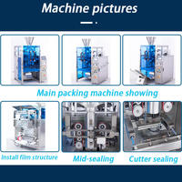 Machine d'emballage pour cacahuètes grillées, noix, pistaches, noix de cajou, amandes, arachides et autres noix