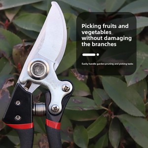 Sécateur à tête blanche et poignée noire <span class=keywords><strong>pour</strong></span> la taille des branches, des arbres fruitiers et des fleurs - Ciseaux en <span class=keywords><strong>bambou</strong></span> - Product Image 4