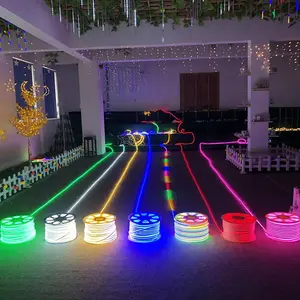 LED flessibile Neon striscia di luce di colore singolo PVC 110V/220V IP65 Rating per applicazione paesaggio a buon mercato Neon Flex