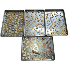 Tray Dryer 304 Stainless Steel Electric Heating Fruit Vegetable <b>Drying</b> <b>Equipment</b> 220 V Energy Saving - Product Image 1
