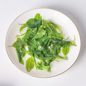 Té de Hoja Pequeña Kuding, Té Herbal Natural, Té Verde de Montaña, Té de <span class=keywords><strong>Ligustrum</strong></span> Robustum - Product Image 5