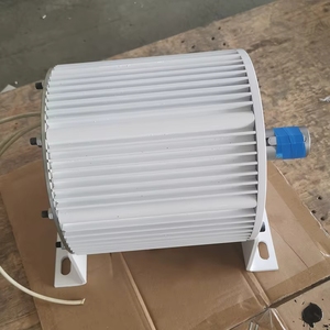 Générateur magnétique auto-alimenté triphasé TiantaiTeach AC 5 kW 24V-380V 500 tr/min 50Hz - Product Image 4
